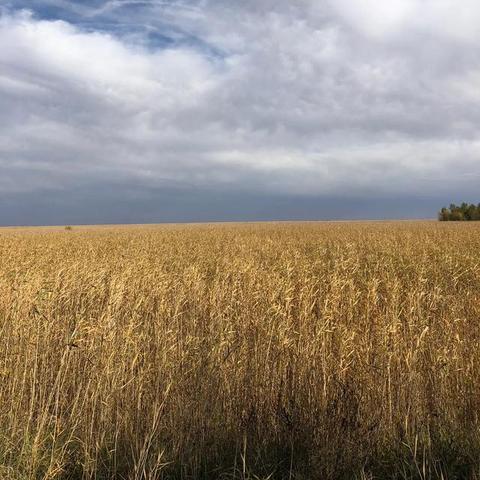 海拉尔到哈尔滨机票价相关长尾关键词有哪些