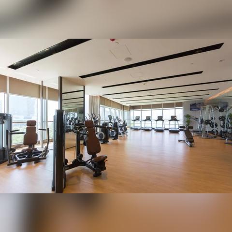 合肥大剧院sd相关长尾关键词有哪些