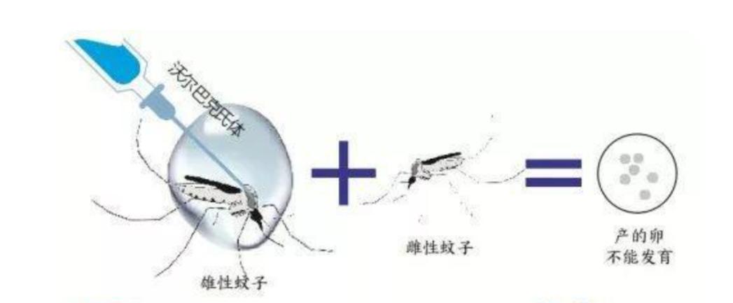 合成技术及应用教育期刊医药和医药技术的区别