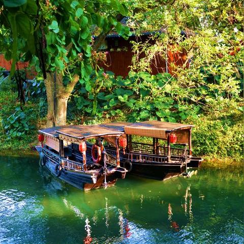 2025.11.15桂林今日气温变化情况