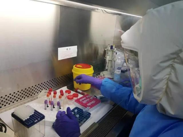 【浙江一酒店专门接待感染者入住抗阳
 ,浙江一酒店发现新冠】