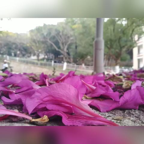 厦门红雨的相关长尾关键词有哪些