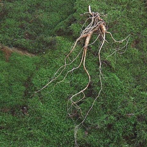 大数据人工智能讲座感想的相关长尾关键词有哪些