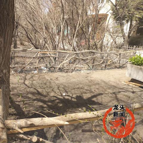 哈尔滨市嵩山别墅多少户