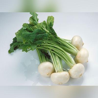 立春 有什么自然特征