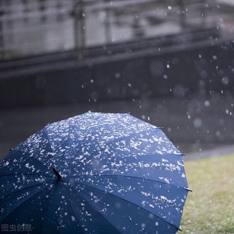 今年春节天气怎么样