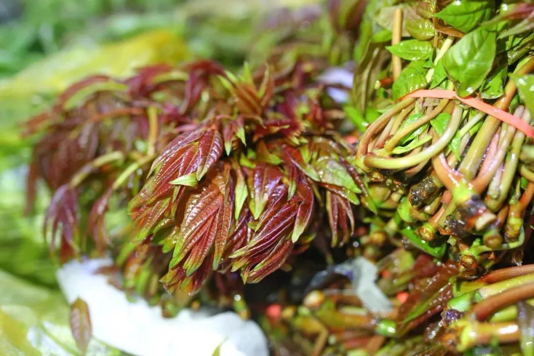 河南还有什么美食吗（你们家乡的特色小吃是什么）