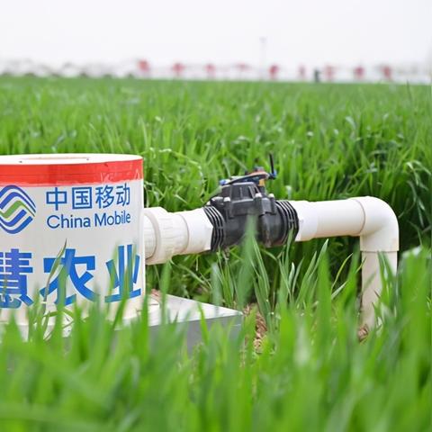 河南家庭农场补贴标准？