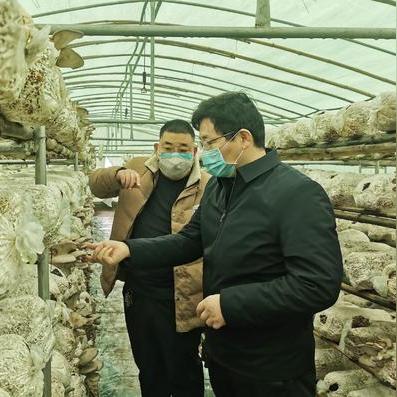 漯河外贸跨境物流公司的相关长尾关键词是那些