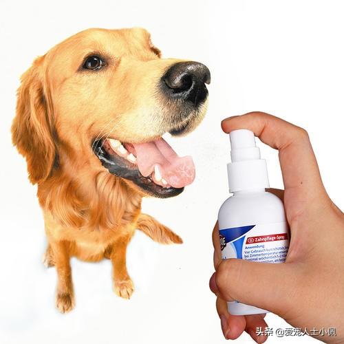 宝宝口角炎抹什么药好 宝宝口角炎抹什么药好