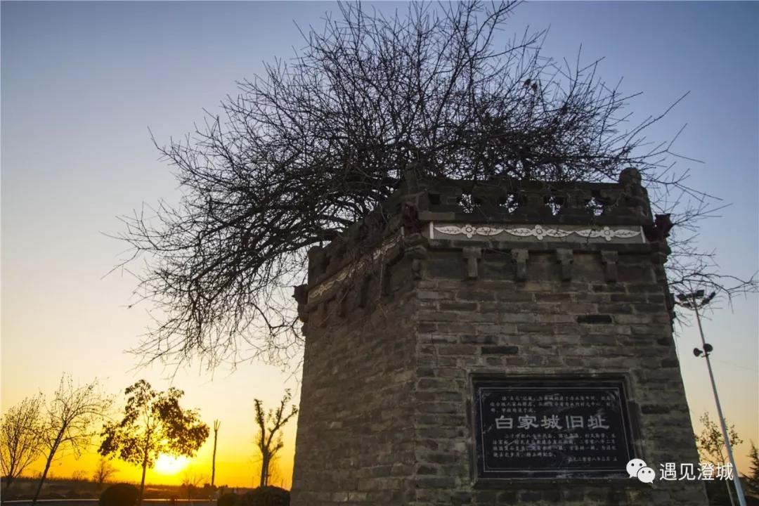 女宝宝起名白姓怎么取(白姓和什么姓最配)
