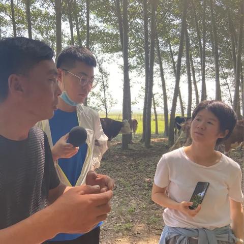 上海养牛地方有哪些