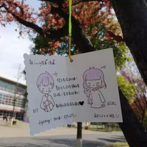 [苏州大学考研学姐]长尾关键词有什么