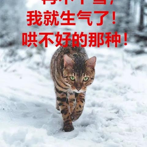 2025.12.3济南最新天气预报查询