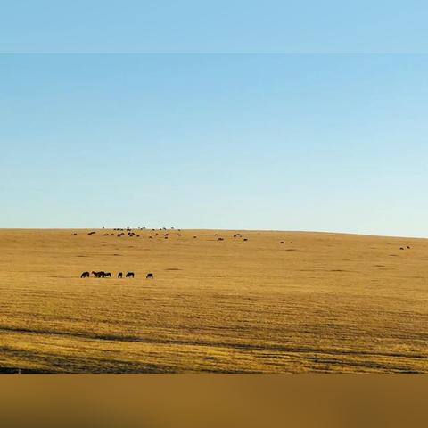 漠河市到哈尔滨飞机相关长尾关键词有哪些