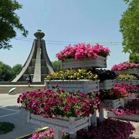 兰州市哪里有鲜花店