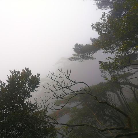 【三清山旅游攻略,江西三清山旅游攻略】 【三清山旅游攻略,江西三清山旅游攻略】