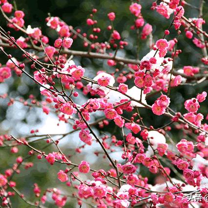 济南跨年晚会相关长尾关键词有哪些