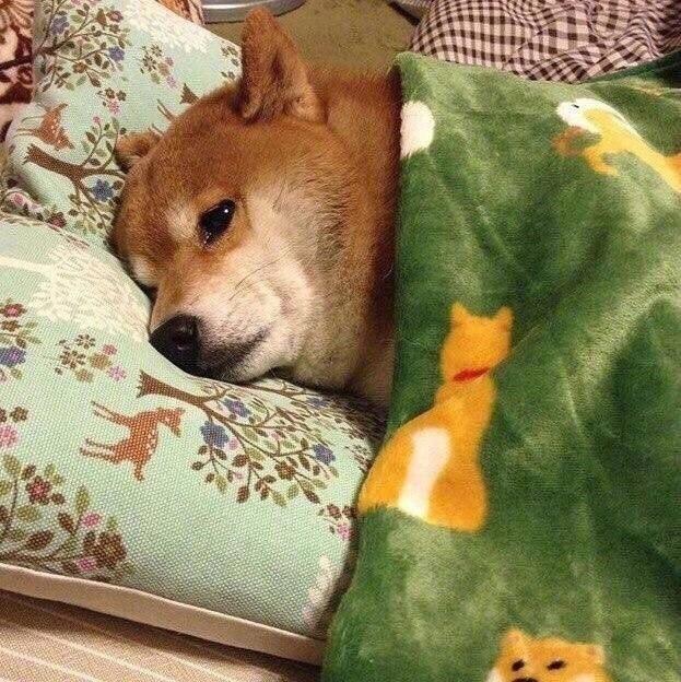 孕妇秋天皮肤干燥怎么办