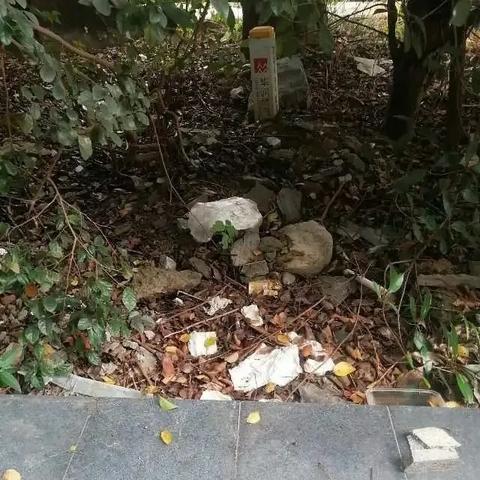 无锡市斑脱医院的长尾关键词有什么