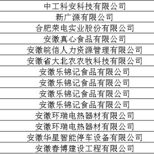 合肥市过年补贴哪里领