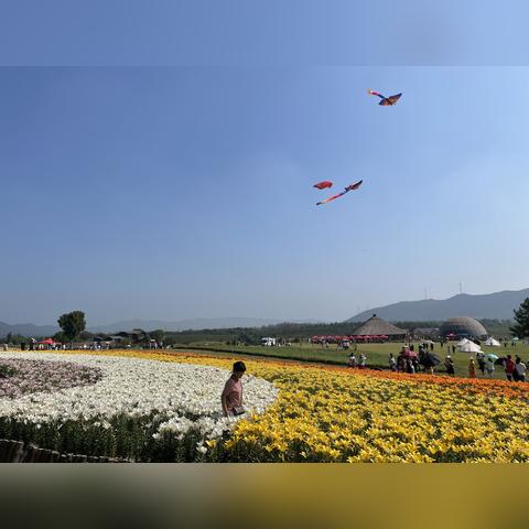 合肥 美好乡村相关长尾关键词有哪些