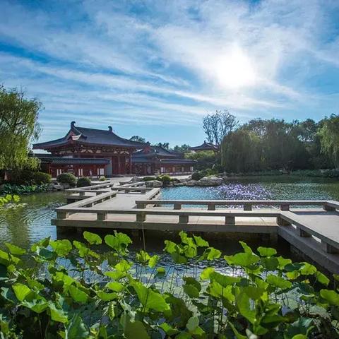 哈尔滨艺术研学相关长尾关键词有哪些