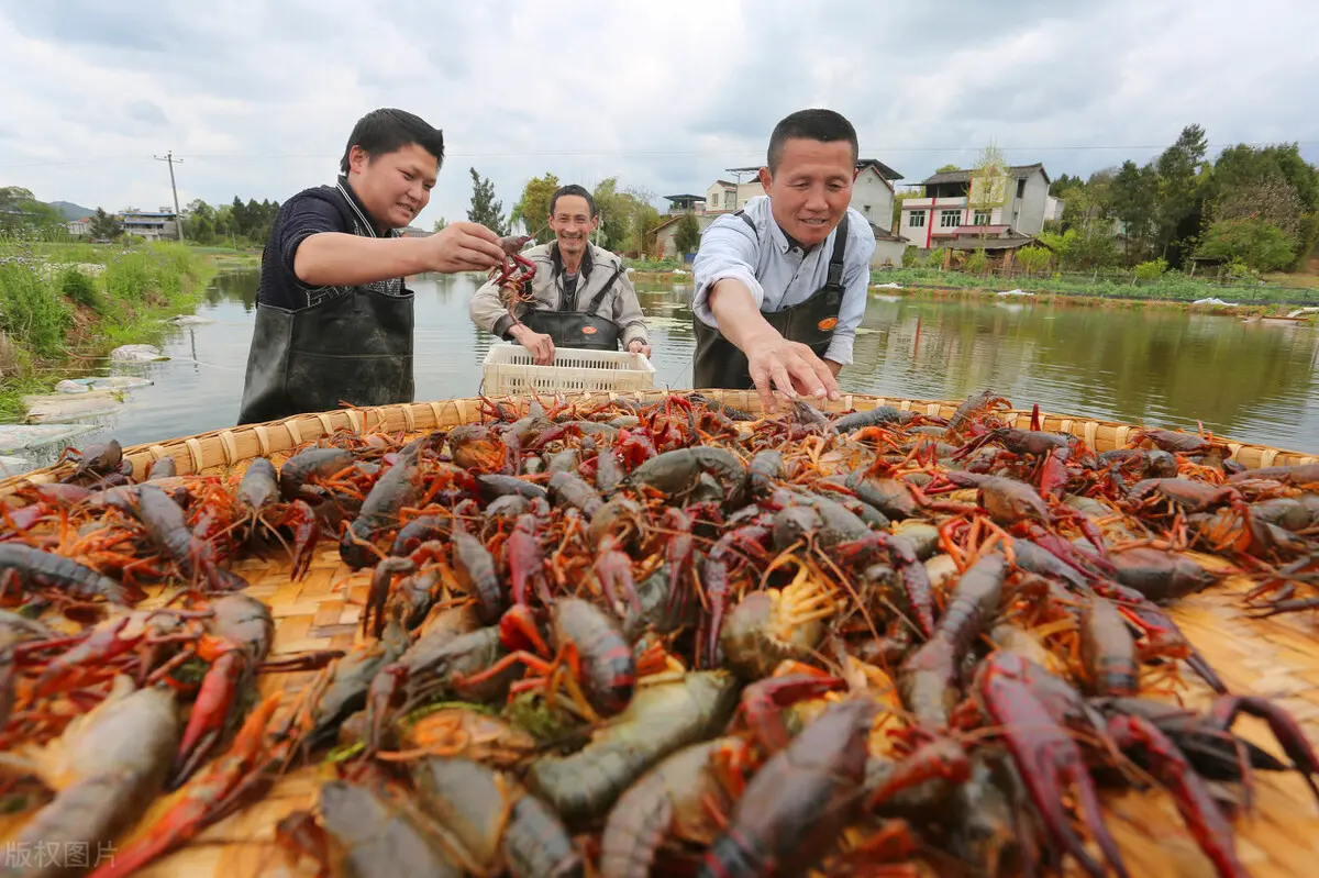怎样可以在十天之内赚2万 如何在十天之内赚3万