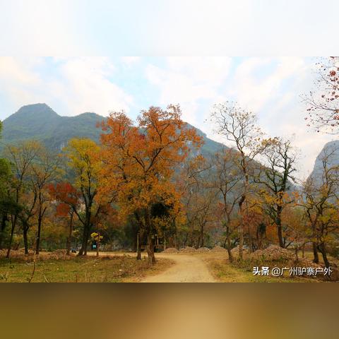 桂林乌桕滩怎么拍照相关长尾关键词有哪些