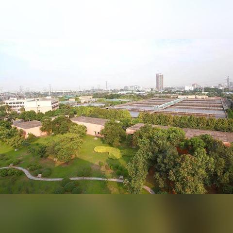 芳村西朗最出名的美食？