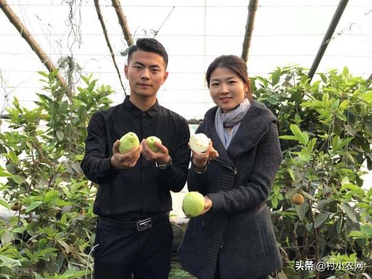 如今回农村创业，到底干啥最赚钱？这几个项目干好了不比打工差