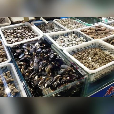 北塘属天津哪个区