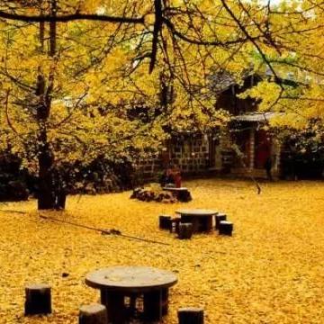 桂林到随州的大巴车的相关长尾关键词有哪些