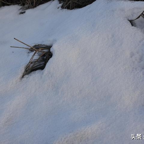 兰州市哪里卖三轮车