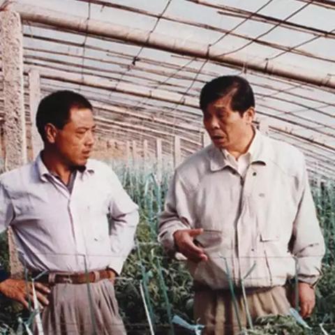 武汉市流通巷在哪个区