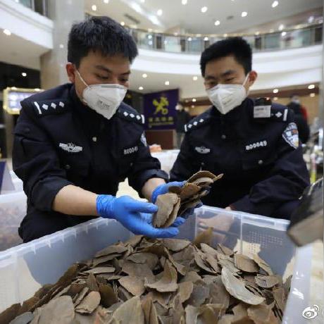 重庆哪个医院切胆囊好点