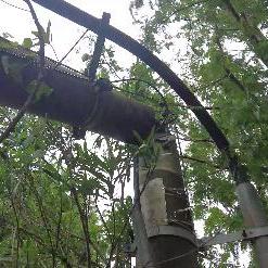 春节池州天气预报的长尾关键词有什么