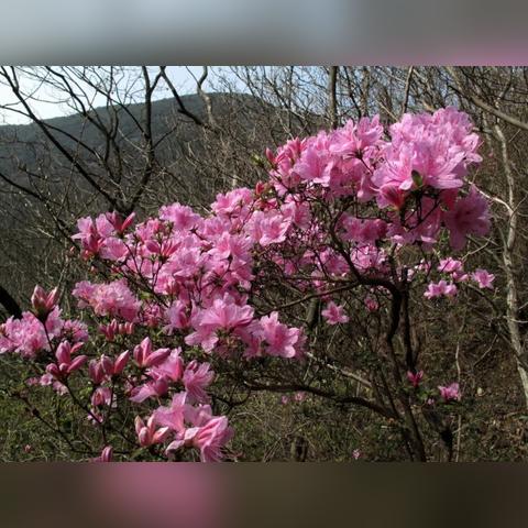 宁波市现在什么气温