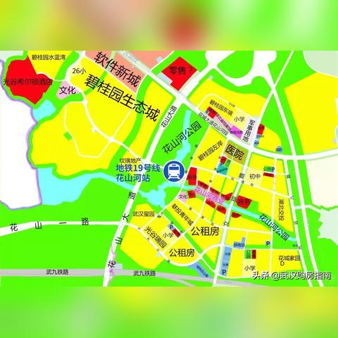 武汉市光谷是哪个区