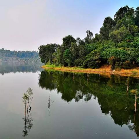 广东东莞市gdp在全省排位的长尾关键词有哪些