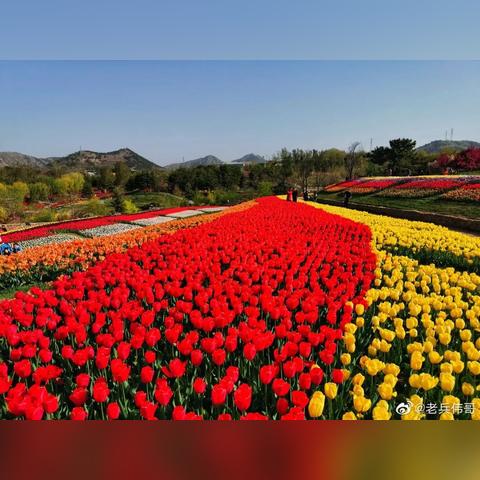 说了再见大连的相关长尾关键词有哪些