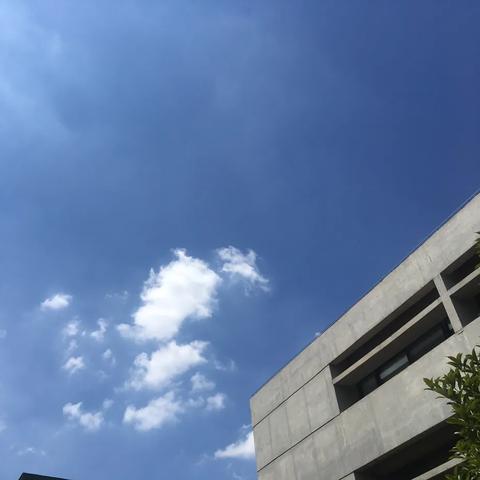 阳逻属于武汉市什么区域