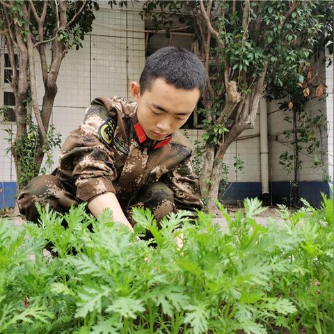 福建漳浦军营的相关长尾关键词有哪些