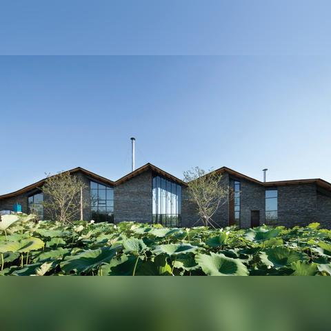 济南市哪个养生会馆好玩