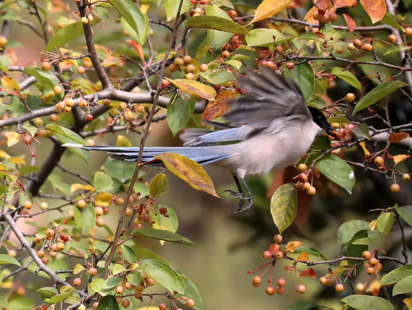 微信头条怎么取消访客 怎么取消头条自动跳转微信