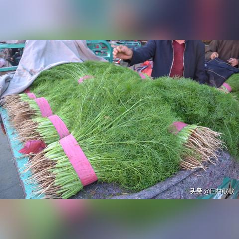 邯郸市7月23号考什么