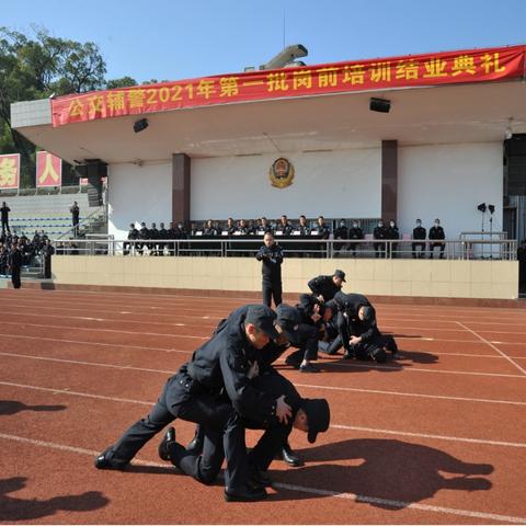 广州市考什么岗位
