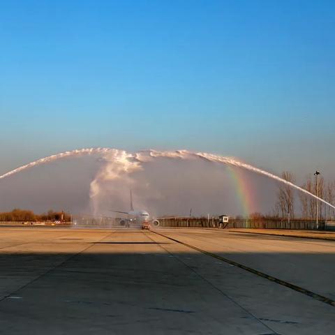 临沂市大地艺术高中的长尾关键词有哪些