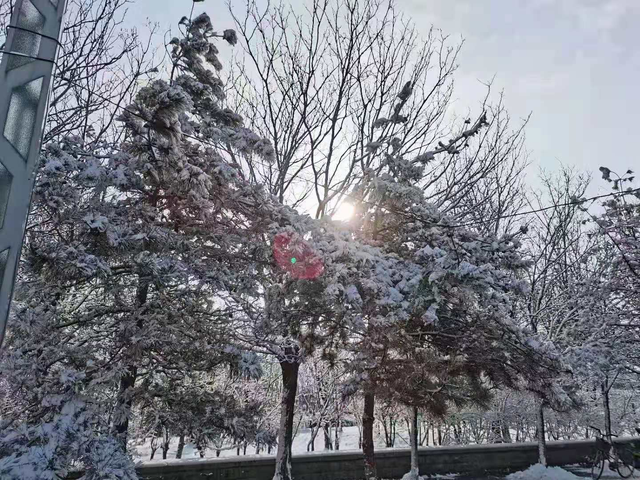2021二月你好的唯美图片句子