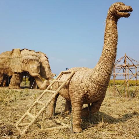 2025.12.28杭州今日气温变化情况